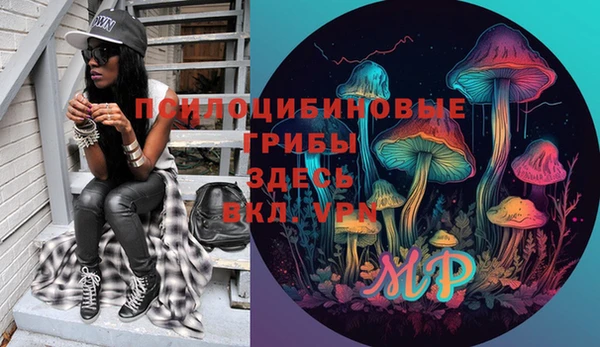 прущая мука Алзамай