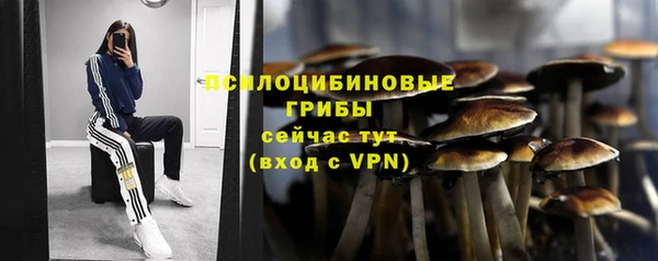 меф Алексин