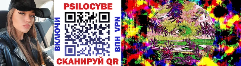 где продают   Чайковский  Галлюциногенные грибы мицелий 